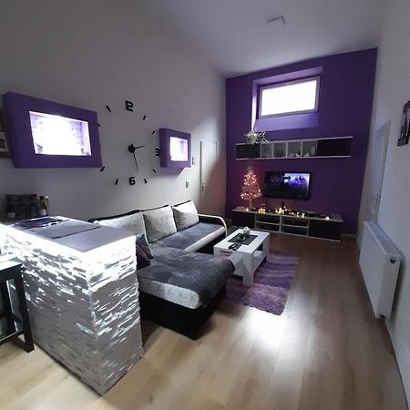 Apartman Lela Vrsac Bagian luar foto