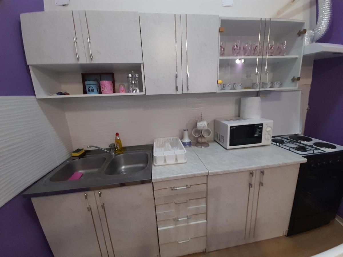 Apartman Lela Vrsac Bagian luar foto