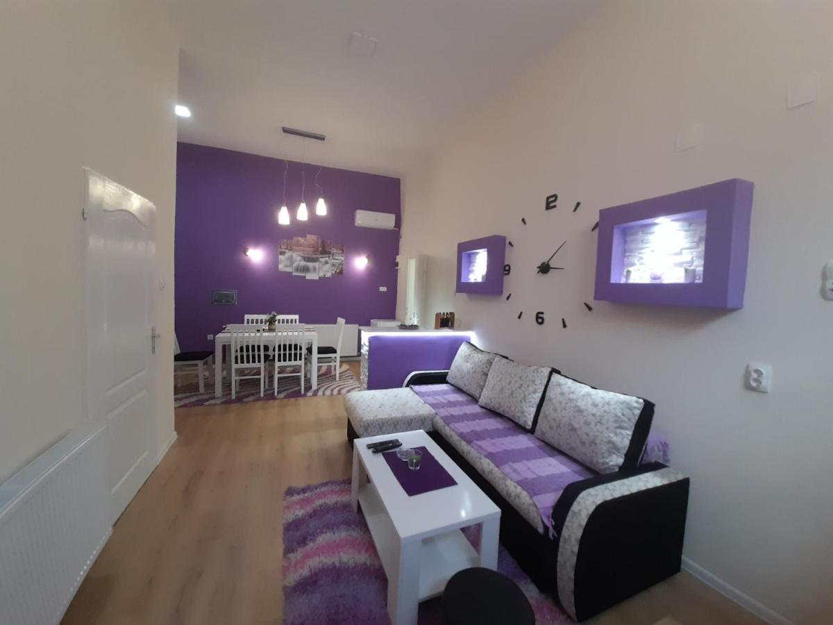 Apartman Lela Vrsac Bagian luar foto