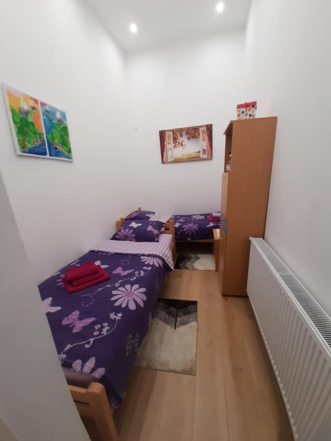 Apartman Lela Vrsac Bagian luar foto