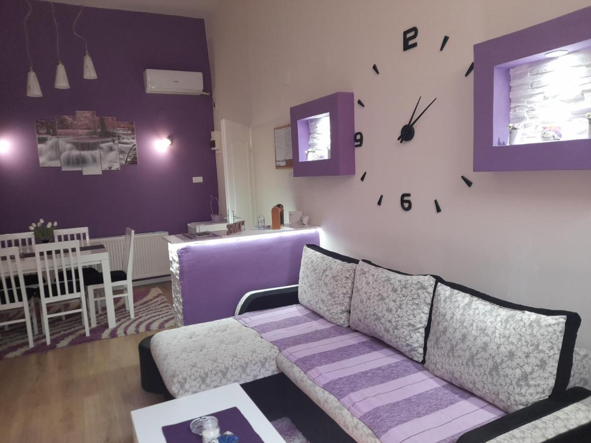 Apartman Lela Vrsac Bagian luar foto