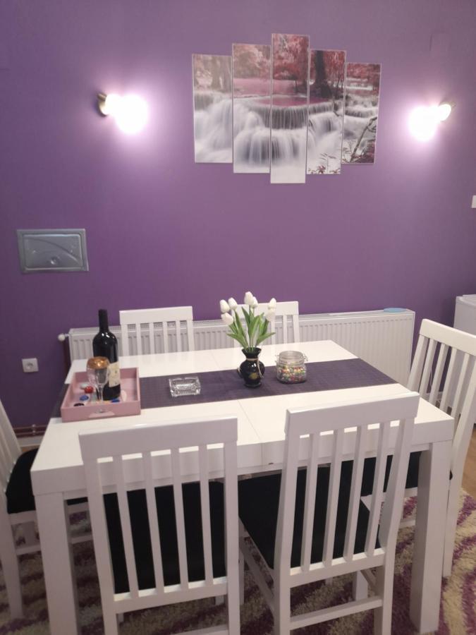 Apartman Lela Vrsac Bagian luar foto