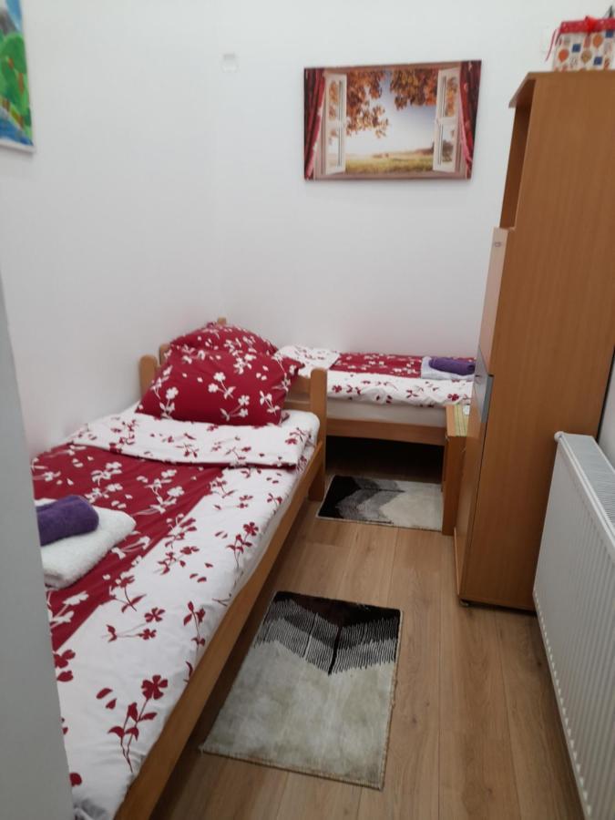 Apartman Lela Vrsac Bagian luar foto