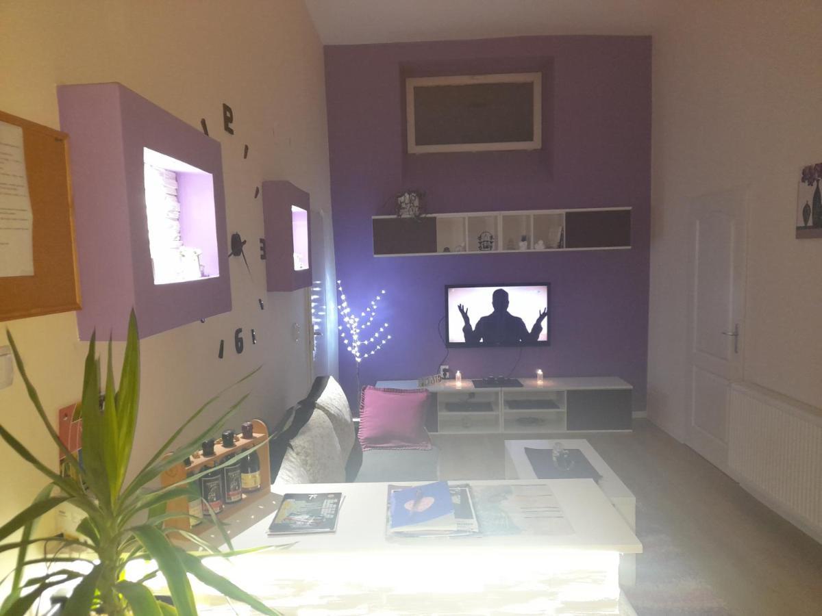 Apartman Lela Vrsac Bagian luar foto