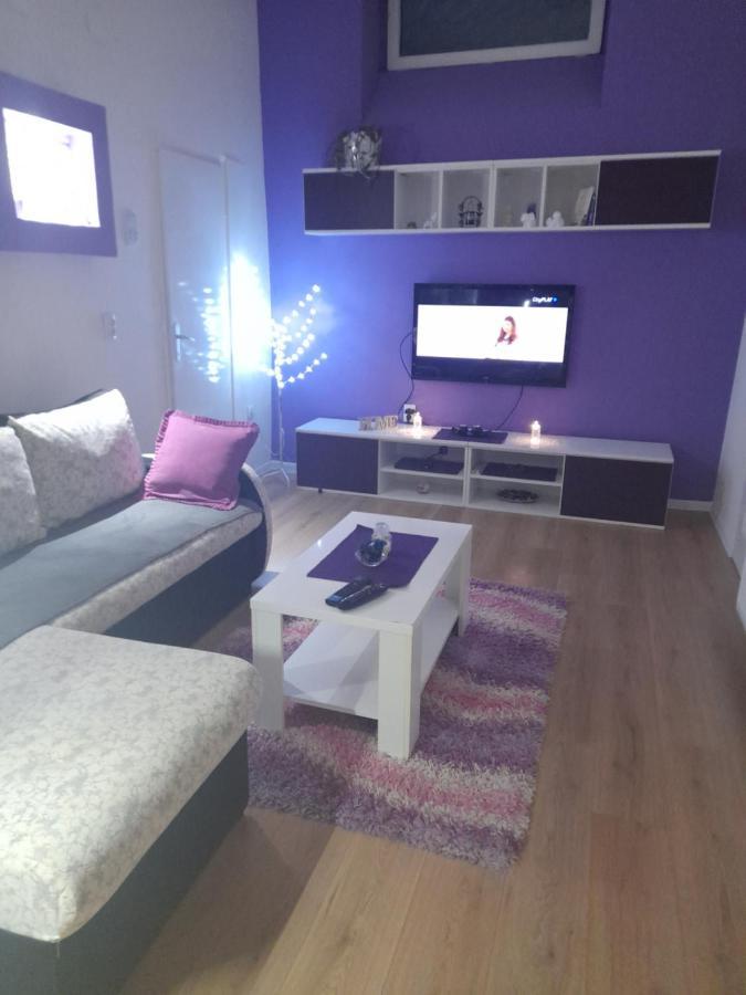 Apartman Lela Vrsac Bagian luar foto
