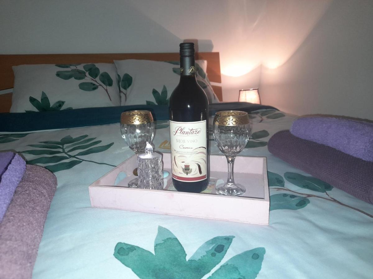Apartman Lela Vrsac Bagian luar foto