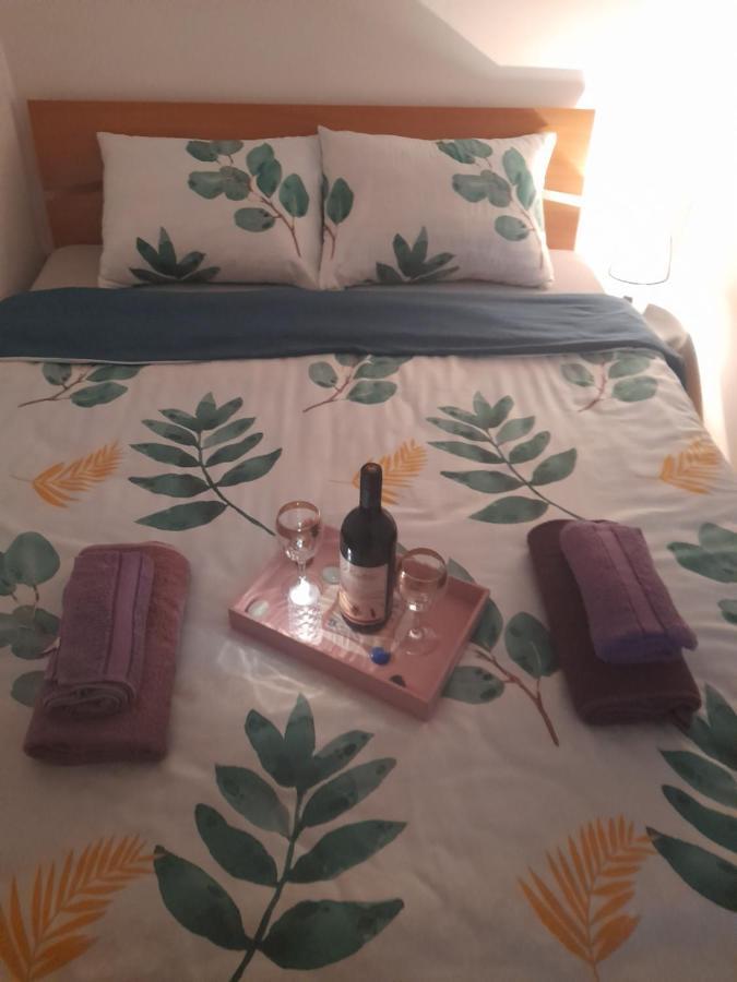 Apartman Lela Vrsac Bagian luar foto