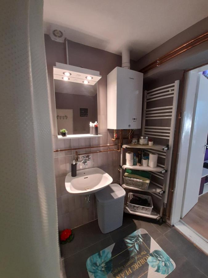 Apartman Lela Vrsac Bagian luar foto