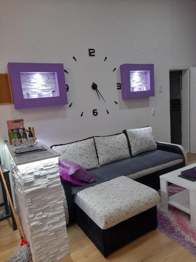 Apartman Lela Vrsac Bagian luar foto