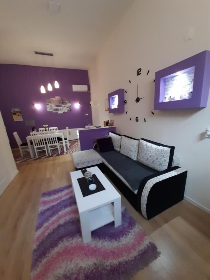 Apartman Lela Vrsac Bagian luar foto