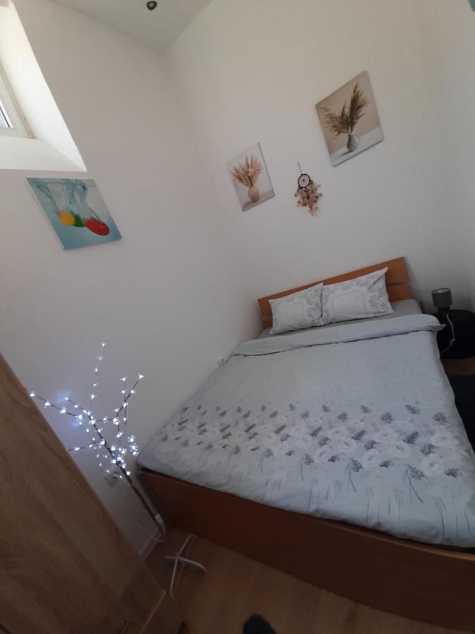 Apartman Lela Vrsac Bagian luar foto