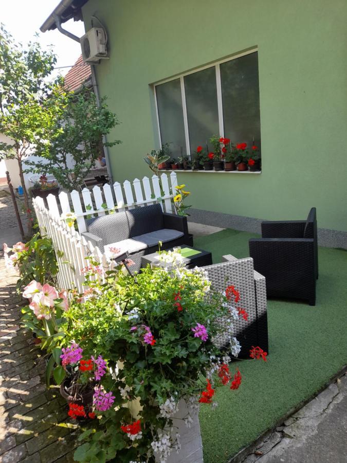 Apartman Lela Vrsac Bagian luar foto