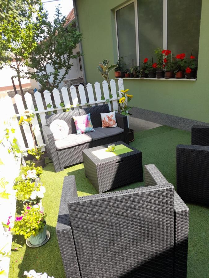 Apartman Lela Vrsac Bagian luar foto