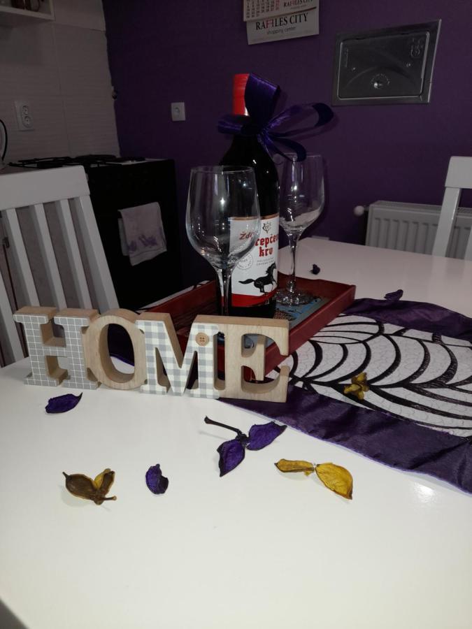 Apartman Lela Vrsac Bagian luar foto